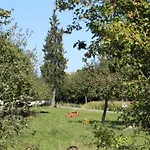 Charmante Maison Avec Jardin, Debit, Pres De Bagnoles De L'orne - Fr-1-497-14 *