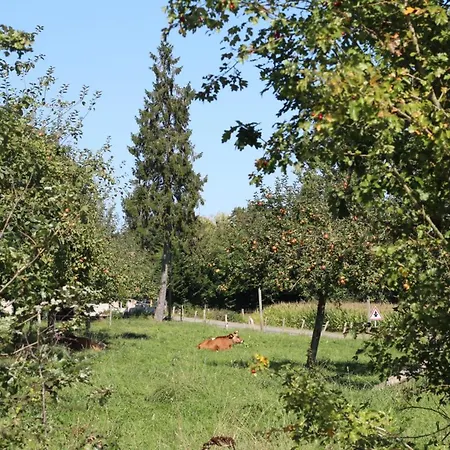 Charmante Maison Avec Jardin, Debit, Pres De Bagnoles De L'orne - Fr-1-497-14 *