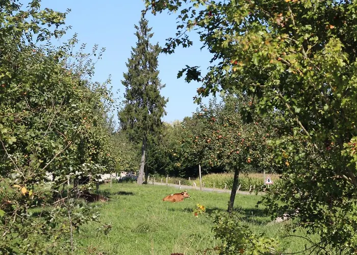 à La Chanterie Avec Wifi, Proche Bagnoles De L'orne - Fr-1-497-14 *
